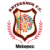 Artesanos Metepec FC