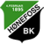 Hoenefoss