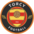 Торси