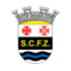 SC Ferreira Zezere