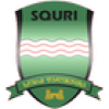 Скури