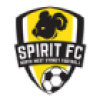NSW Spirit
