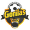 Gorilas de Juanacatlan