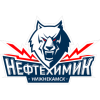 Нефтехимик