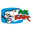 Барс Казань