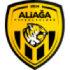 Aliaga