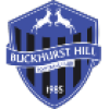 Buckhurst Hill