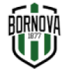 Viven Bornova FK