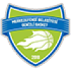 Denizli Basket