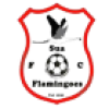 Sua Flamingoes