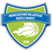 Denizli Basket