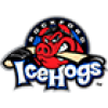 Rockford IceHogs
