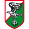 Sokol Kleczew