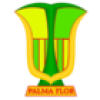 Club Atletico Palmaflor