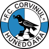 Corvinul Hunedoara