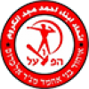 Ihud Bnei Majd al-Krum