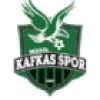 Inegol Kafkas Genclikspor