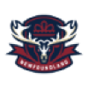 Newfoundland Regiment