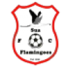 Sua Flamingoes