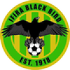 Ifira Black Bird