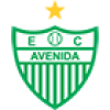 Авенида