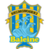 FC Baleine Shimonoseki