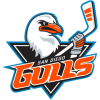 San Diego Gulls
