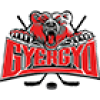 Gyergyoi HK