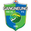 Гангнеунг Сити
