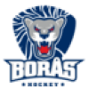 Boraas