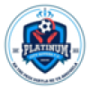 Platinum City Rovers