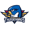 Springfield Thunderbirds